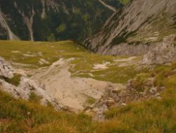 2013-09-08_6Falkenh-Steinfalk (205)08.JPG